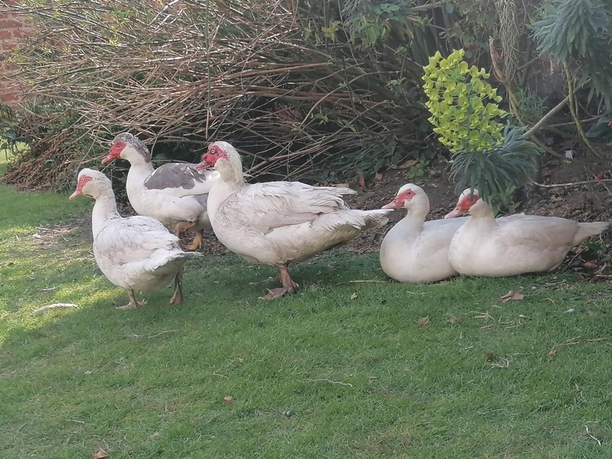 Bed and Breakfast Clumber Lane End Farm Worksop Exterior foto